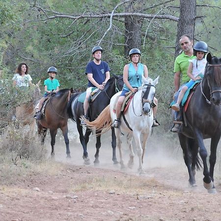 Alojamientos Rural Tejerina Arroyo Frio Kültér fotó