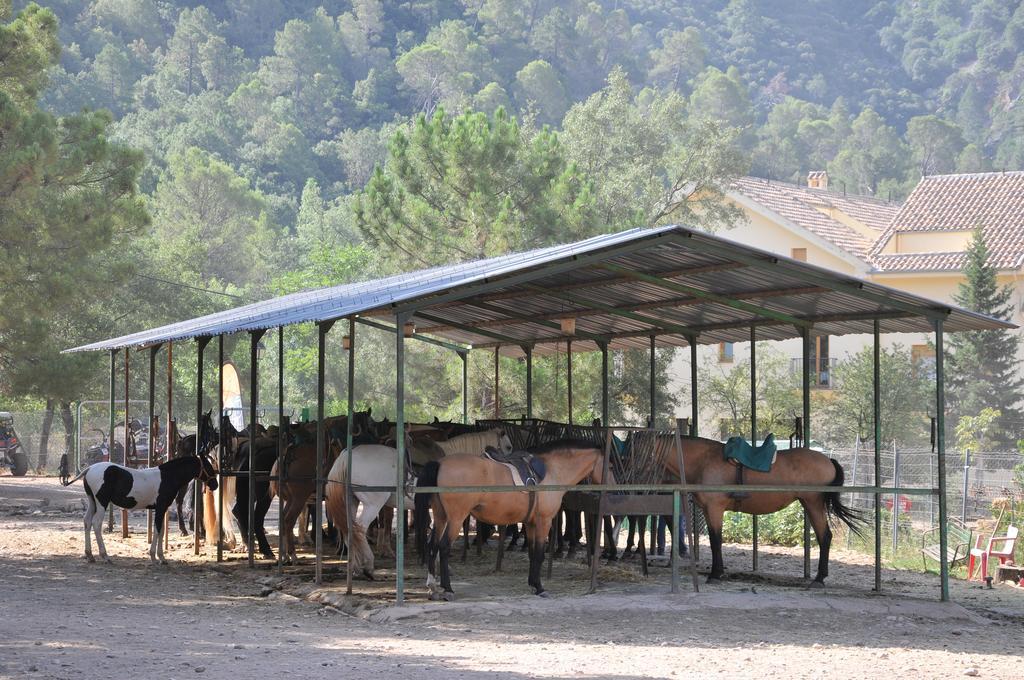 Alojamientos Rural Tejerina Arroyo Frio Kültér fotó