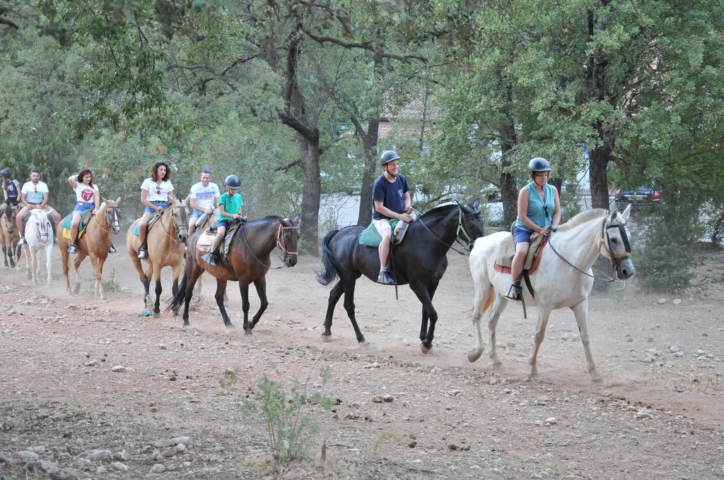 Alojamientos Rural Tejerina Arroyo Frio Kültér fotó
