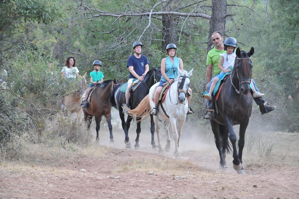 Alojamientos Rural Tejerina Arroyo Frio Kültér fotó