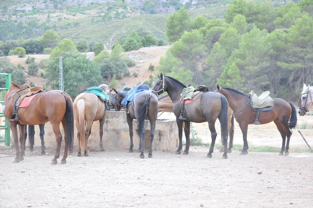 Alojamientos Rural Tejerina Arroyo Frio Kültér fotó
